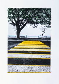 Fotobordado 