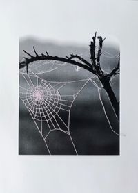 Fotobordado 